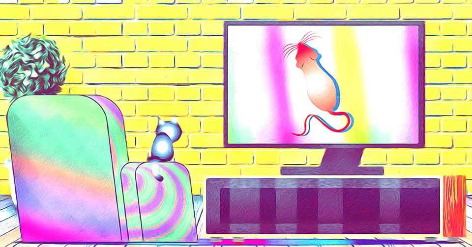 ビッグローブ光でテレビも快適に!サービス概要やメリット、注意点なども解説